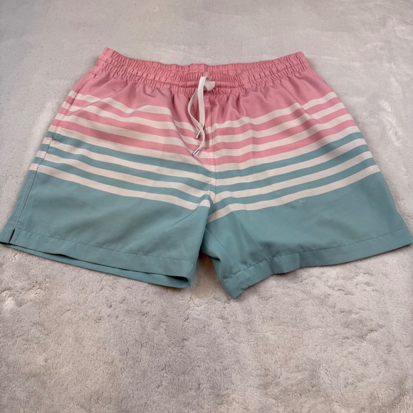 Chubbies Mens Swim Trunks Shorts Medium Striped Pink Blue Drawstring Casual - Picture 1 of 9